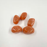 Perles graines acrylique x5