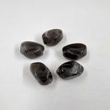 Perles graines acrylique x5