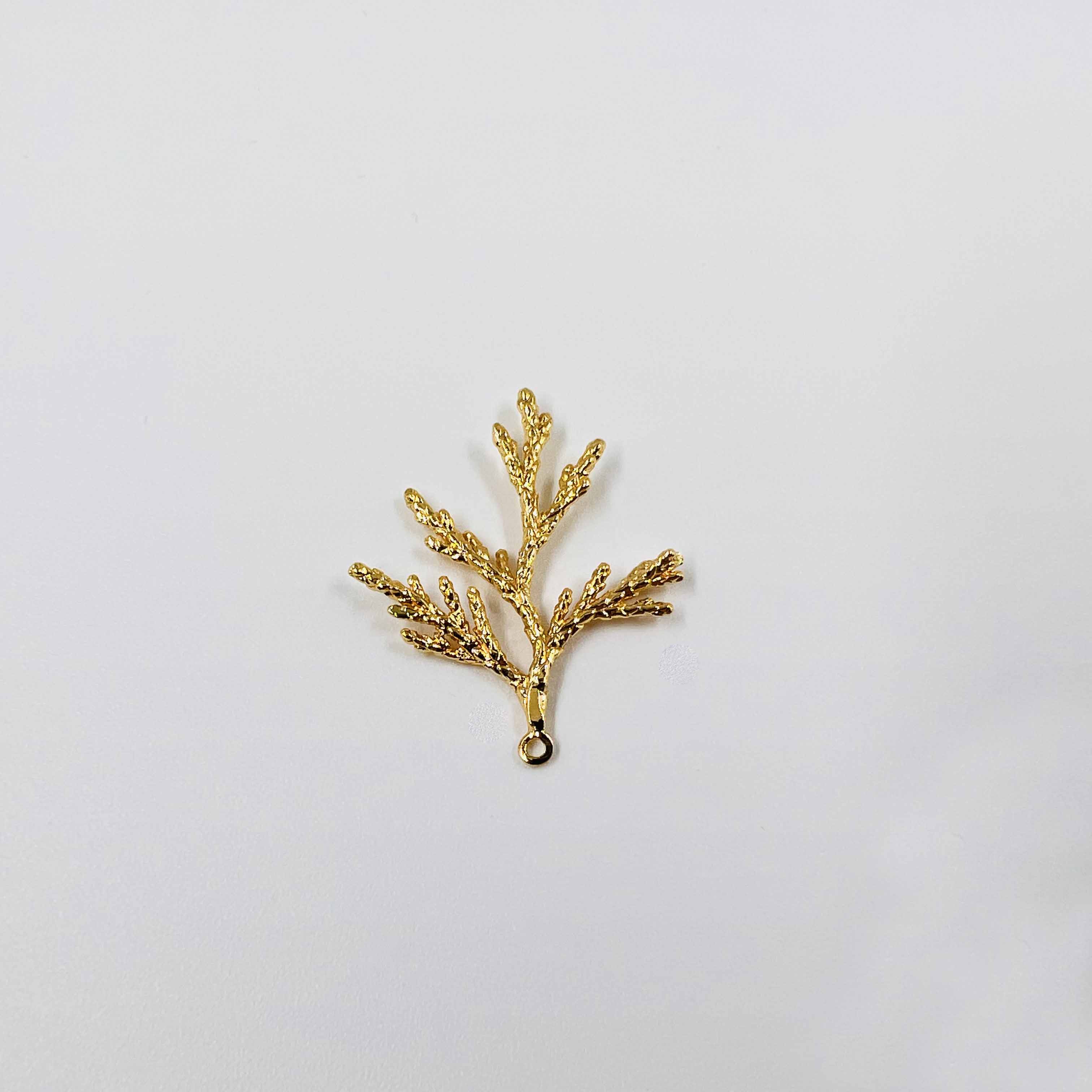 Corail